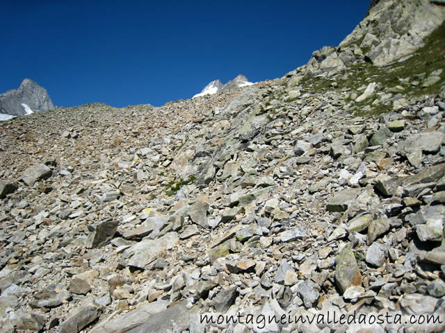 val ferret